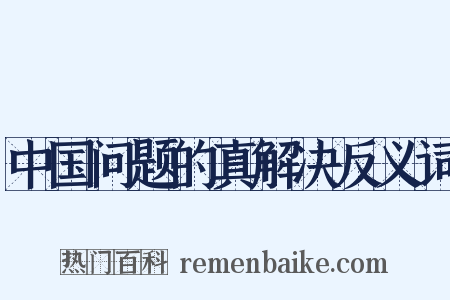 中国问题的真解决反义词是什么意思的图片
